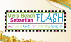 VB Flash Sponsor